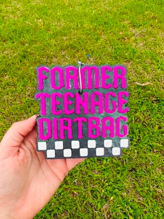 Former Teenage Dirtbag Car Freshies, Teenage Dirtbag Car Freshies, Wholesale Car Freshies